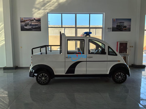 Véhicules tout-terrain personnalisés pour adultes, mini 4x4, pick-up double cabine, véhicules de patrouille en vente - Product Image 1