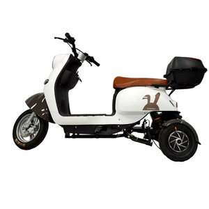 Nouveau produit 48-60v vélo électrique couleur Beige Ebike 450w Dusl Ebike avec gros vélo électrique en acier au carbone pour femmes hommes moins cher - Product Image 1