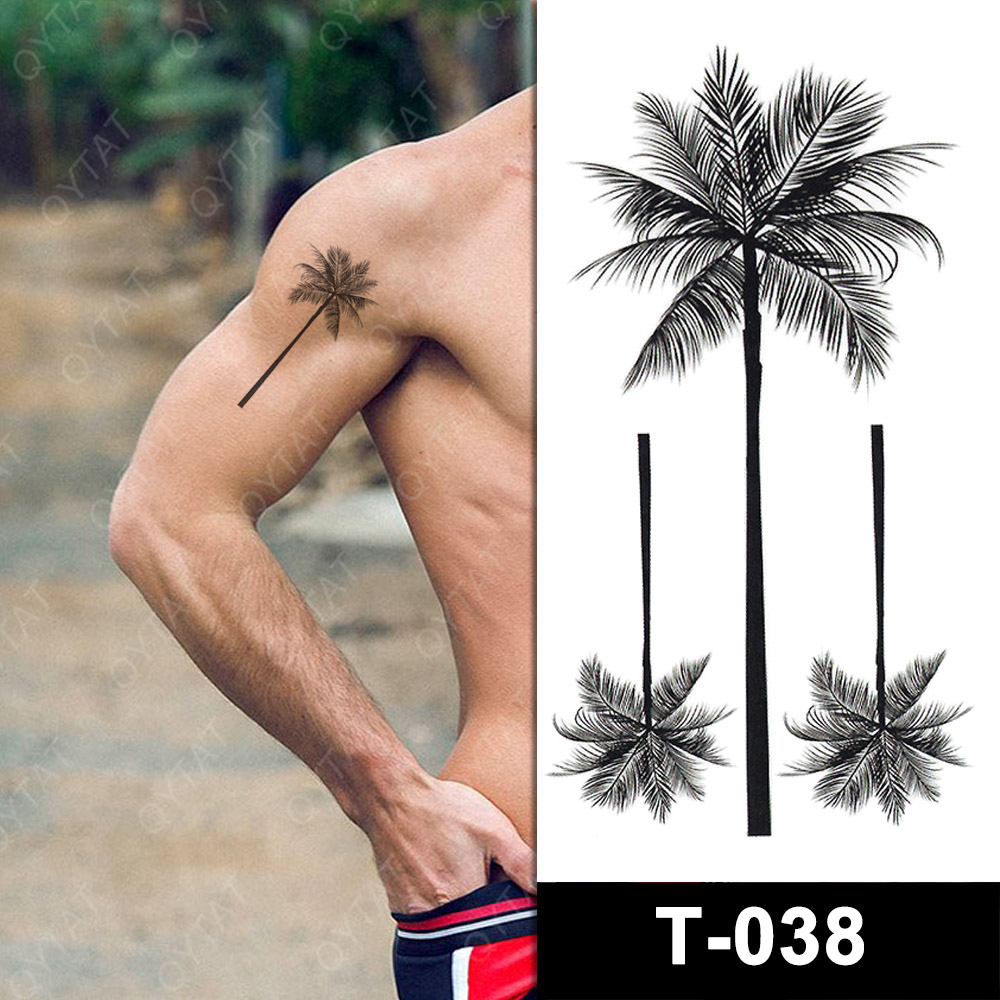 T-038