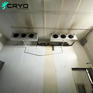 ห้องแช่แข็งระบบ CRYO สำหรับผู้ส่งออกอะโวคาโด พร้อมเครื่องยนต์ ปั๊ม ประหยัดพลังงาน รักษาความสดใหม่ สำหรับการขนส่งระยะไกล - Product Image 4