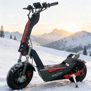 สกู๊ตเตอร์ไฟฟ้าสำหรับผู้ใหญ่รุ่นขายดี 72V 40AH 50AH 60AH ระยะทาง 90-180 กม. สตาร์ทด้วย NFC ยางขนาด 16 นิ้ว พร้อมมอเตอร์ QS Racing - Product Image 1