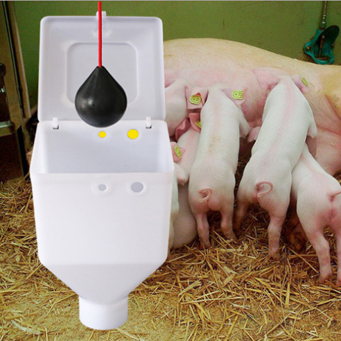 semi automatic feeder pig
