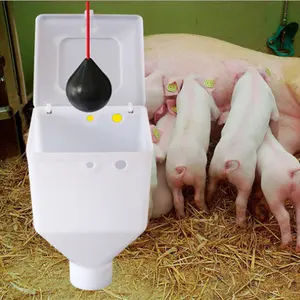 2023 halbautomat ische Tropfen fütterung futter für Trächtigkeit gebäude für Schweine farmen