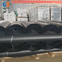 Planche de drainage en HDPE, utilisée pour les toits, les sous-sols, l'aménagement paysager et le drainage des zones inondables