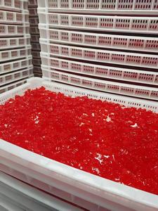 Natürliche Sägepalmen-Gummibärchen für Erwachsene zur Unterstützung des weiblichen Hormonhaushalts und des Wohlbefindens als tägliche Nahrungsergänzung - Product Image 5