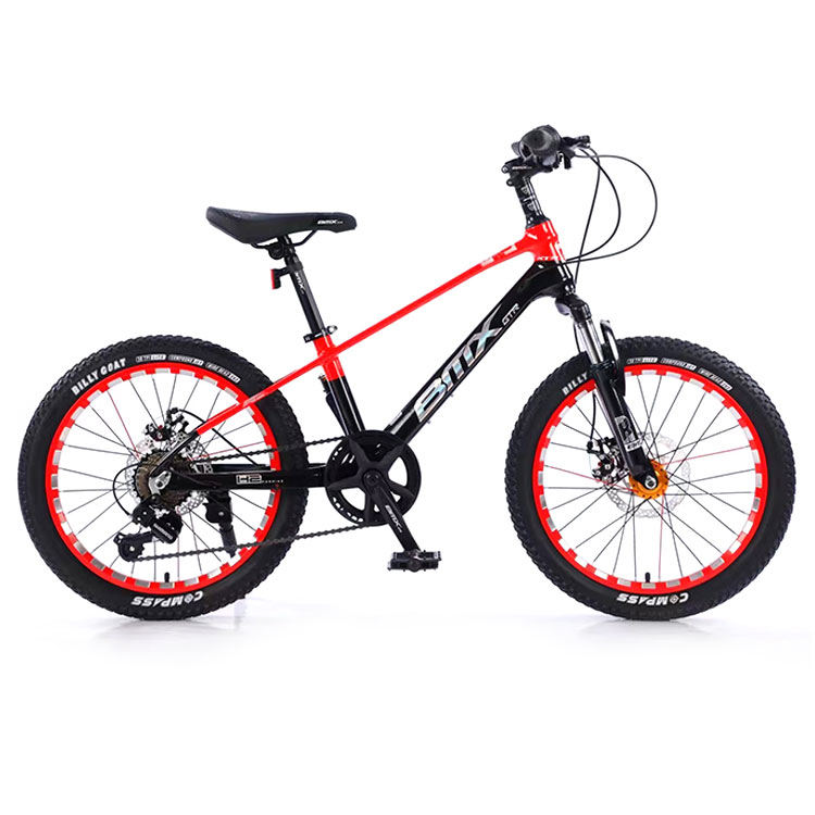 20 Inch 14 Frame Bike Age 14 Inch Frame Bike Age Hot Sale