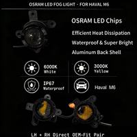 Projecteur antibrouillard Bi-LED en gros 36W 9-30V 3000K/6000K 4116100XKZ16A pour Haval M6