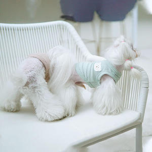 Roupa de cachorro de pelúcia multicolorida, vestes de cachorro de verão, 2022 - Product Image 6