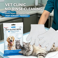 Gants de toilettage pour animaux sans eau personnalisés OEM ODM, lingettes pour animaux sans rinçage, logo et parfum personnalisés, taille adaptée pour chien et chat