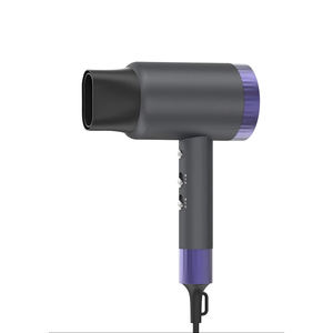 Secador de Pelo Iónico Portátil con Boquilla, 2200W, Secador Profesional para Uso Doméstico - Product Image 1