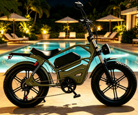 Vélo électrique pour adultes, moteur de 750 W de puissance maximale, batterie au lithium 48 V 18 Ah, pneus larges de 20 pouces, écran LCD couleur