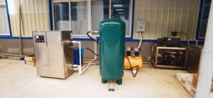 Máquina ozonizadora de aire Flygoo, generador de ozono de fuente de aire de descarga <span class=keywords><strong>Corona</strong></span>, 150g, 200g para limpieza de conductos de aire - Product Image 6