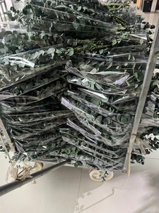 Style nordique feuille douce <span class=keywords><strong>guirlande</strong></span> d'<span class=keywords><strong>eucalyptus</strong></span> tiges fleurs séchées plantes préservées multi fourchette pour la décoration intérieure célébration de noël - Product Image 6