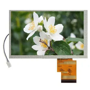 6.2 인치 터치 스크린 800*480 RGB 60PIN TFT Fhd 실외 LCD TN 디스플레이 패널 터치 스크린 모듈 LCD 모니터