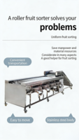 Industriële roestvrijstalen fruit sorteermachine met PLC voor verwerkingsbedrijven, rechtstreeks van de fabriek
