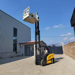 Montacargas Eléctrico Personalizado de Fábrica, Económico, de 2 y 3 Toneladas, Elevación de 3 Metros, para Manejo y Carga en Almacenes - Product Image 4