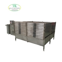 Aangepaste roestvrijstalen 100kg/u 304 commerciële voedseldroogmachine voor gember-knoflookfabriek, inclusief after-sales ondersteuning