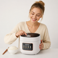 Cuiseur à riz intelligent multifonction 3L avec écran LED, tasse doseuse, contrôle numérique du minuterie, en acier inoxydable, fonction faible teneur en sucre, idéal pour les hôtels