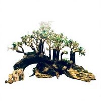Décoration d'aquarium en bois flotté naturel pour aquarium, forme irrégulière, ornement durable, style simple, fabriqué au Vietnam