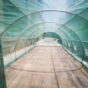 Prezzo a buon mercato 8x3x2 m UV protetto PE Tunnel serra giardino per la vendita - Product Image 5