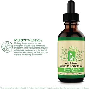 無料サンプル エネルギーサプリメント 水滴ミント風味 液体クロロフィル 2パック - Product Image 3