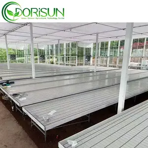 4x8 Flood Table Rolling Bench Greenhouse Ebb Flow Table Movable Grow Tables In Multi-span Greenhouses