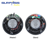 BTF44 SURPASS ensemble de haut-parleurs de plafond actifs sans cadre Blue-tooth 6.5 pouces système Audio domestique haut-parleur de plafond 1 haut-parleur principal 3 haut-parleurs esclaves