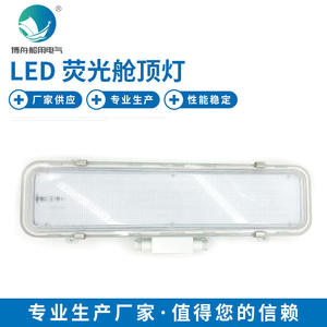 Lámpara de Techo Fluorescente LED SMD JCY23-2L, Accesorio de Iluminación Marina, Material de Acero Certificado CCS para Aplicaciones Marítimas - Product Image 5