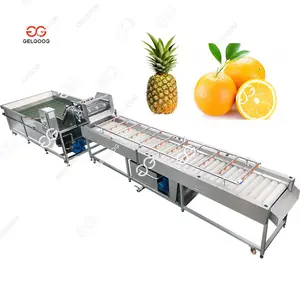 Gelgoog Pineapple Sugarcane Washing Machine Avocado Mango Vegetable Potato Washing Machine Orange Cleaner