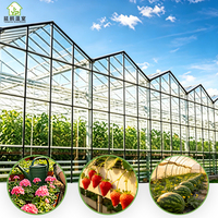 Kits de serres de jardin multi-chapelles en verre de grande taille avec bâche PE anti-âge, taille personnalisable, ventilation intelligente, pour usage agricole et culture de légumes