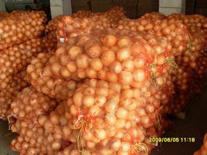 Vegetales Congelados IQF en Cubos y Rodajas, Envasados en Envases Higiénicos, Suministrados Durante Todo el Año para Consumidores Conscientes de la Salud - Product Image 4