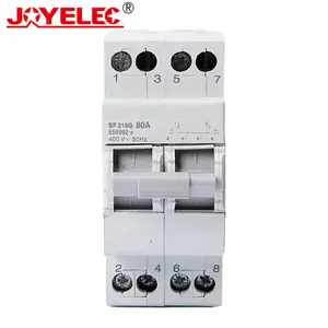 Joyelec Sf Serie Din Rail Mount Isoleren Switch Modulaire Omschakelaar Op Off Op