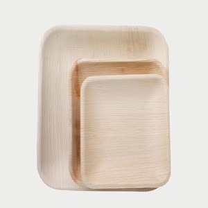High Quality Natural Palm Leaf <b>Plates</b> with <b>Disposable</b> Organic Dinner <b>Plates</b> for Home Kitchen and Picnic Available for Wholesale - Product Image 1
