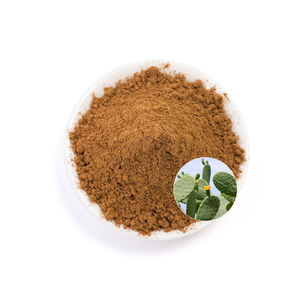 Orgánico Natural <span class=keywords><strong>Hoodia</strong></span> <span class=keywords><strong>Gordonii</strong></span> Extracto de polvo Extracto de planta <span class=keywords><strong>Hoodia</strong></span> <span class=keywords><strong>Gordonii</strong></span> Polvo <span class=keywords><strong>Hoodia</strong></span> <span class=keywords><strong>Gordonii</strong></span> Proveedores - Product Image 3