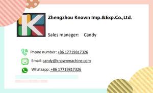 2025 électrique Royal Cendrillon mariage calèche transport spécial famille touristique tourisme caravane chariot - Product Image 6