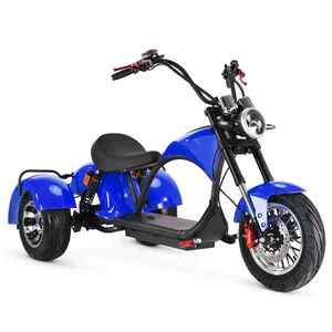 Schlussverkauf Warenlager Erwachsenen-3-Rad-Fadrad Lithium-Akku 60V 20Ah Citycoco 2000W Elektroroller Erwachsenen-E-Scooter