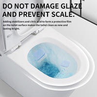 Tablettes nettoyantes pour toilettes à action continue, prolongée, persistante, désodorisantes, bactériostatiques, à libération lente et continue