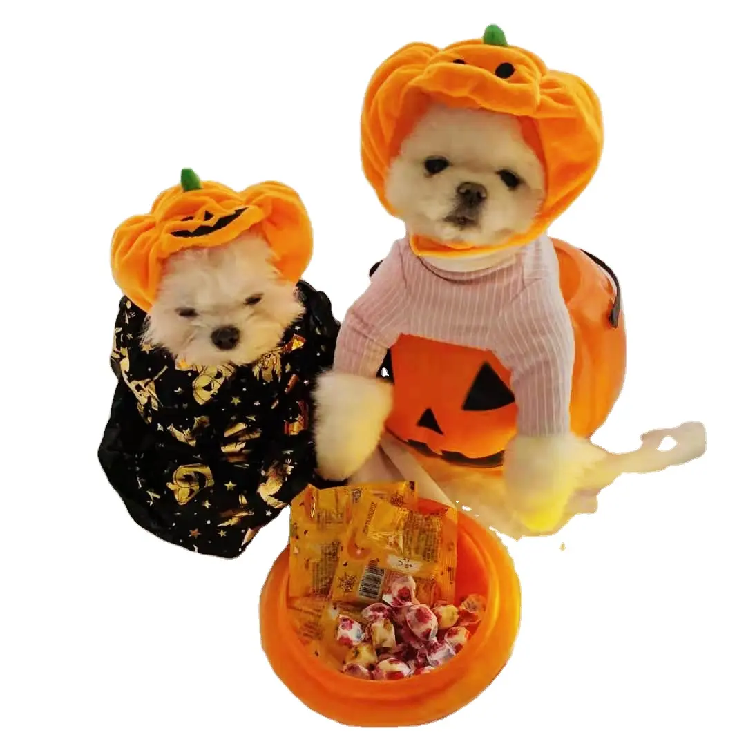 DRESSPET Halloween Custom Dog For Dogs Pumpkin Hat Pet Accessories For Small Pet Funny Hat