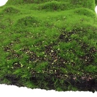 Décoration de mariage écologique pour la maison : Mur végétal artificiel en gazon synthétique, imitation pierre et mousse, recyclable et résistant aux UV
