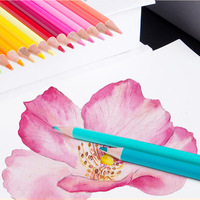 Ensemble de crayons de couleur solubles dans l'eau, 210 couleurs, crayons de dessin à l'aquarelle à haute teneur en pigments dans un étui portable pour artistes et étudiants