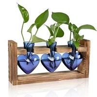 Dropshipping Shopify Vase hydroponique créatif encadré en bois Vase en verre transparent à cœur coloré pour décoration de fleurs à la maison