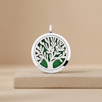 Pendentif diffuseur d'arômes en acier inoxydable de 30 mm pour huiles essentielles, collier diffuseur de parfum, cadeau