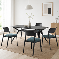 Chaises de salle à manger en bois massif de frêne, design unique, style minimaliste italien, chaises de salle à manger noires avec accoudoirs et dossier