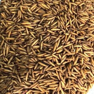 Prix bon marché des larves de mouches soldats noirs séchés alimentation des poulets alimentation des tortues alimentation des reptiles - Product Image 4