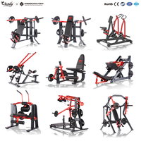 Solution Complète pour Projets de Salle de Sport : Équipement de Fitness et d'Entraînement de Force pour Centres de Fitness et Salles de Sport, Machines à Plateaux Poids