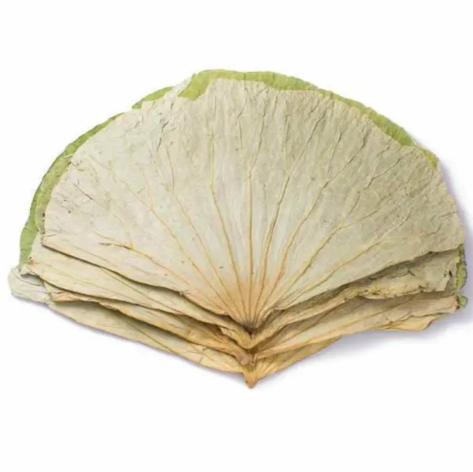 He Ye Wholesale Different Shape and Size Dried Whole Lotus Leaf