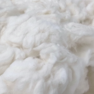 La meilleure vente du Viet Nam 100% blanchi/non blanchi blanc Comber Noil pour la filature pour l'industrie d'exportation - Product Image 1