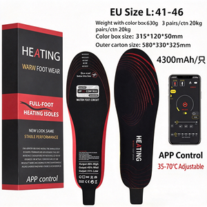 Plantillas Calefactables de Grafeno Recargables por USB, Calentadores de Pies con Control Remoto, de 40°C a 70°C para Uso en Exteriores en Invierno - Product Image 1