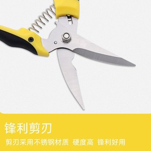 Stainless Steel <b>Pruning</b> Shears Yellow Handle Garden <b>Tools</b> For Fruit <b>Tree</b> Branch Cutting - Product Image 4