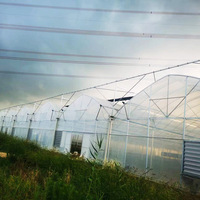 Serre polytunnel gothique tropicale préfabriquée GY pour culture hydroponique de tomates, champignons et légumes, serre à toit dentelé d'occasion à vendre